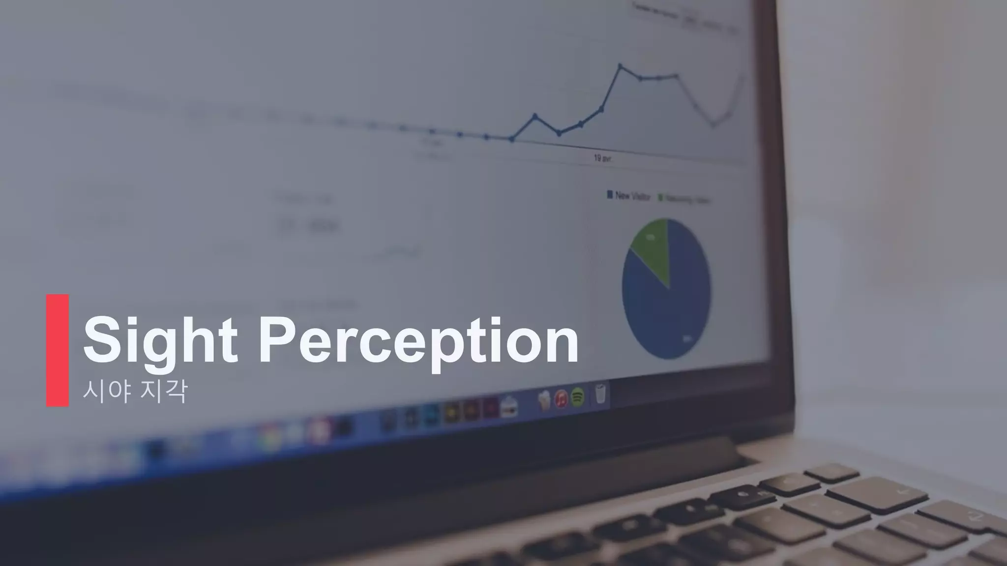 Sight Perception
시야 지각
 