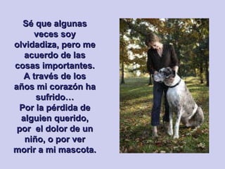 Sé que algunas veces soy olvidadiza, pero me acuerdo de las cosas importantes. A través de los años mi corazón ha sufrido… Por la pérdida de alguien querido, por  el dolor de un niño, o por ver morir a mi mascota.   