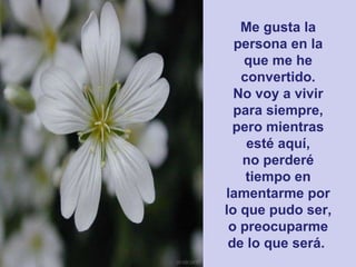 Me gusta la persona en la que me he convertido. No voy a vivir para siempre, pero mientras esté aquí, no perderé tiempo en lamentarme por lo que pudo ser, o preocuparme de lo que será.   
