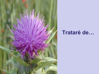 Trataré de… 