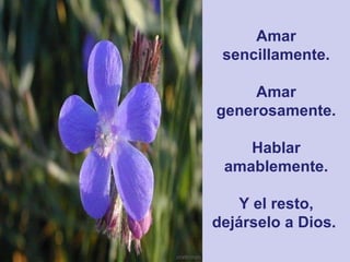 Amar sencillamente. Amar generosamente. Hablar amablemente. Y el resto, dejárselo a Dios.   