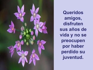 Queridos amigos, disfruten sus años de vida y no se preocupen por haber perdido su juventud. 