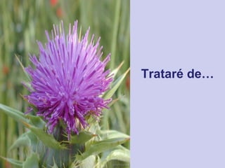 Trataré de… 