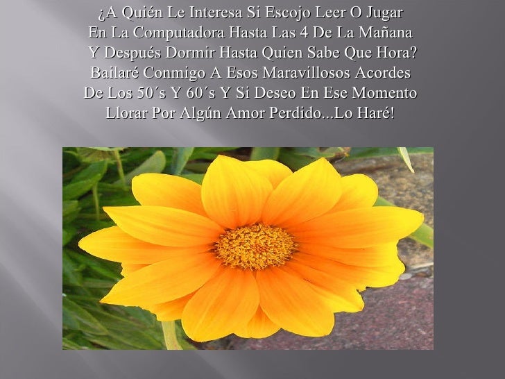 Un regalo para ti music mama vieja