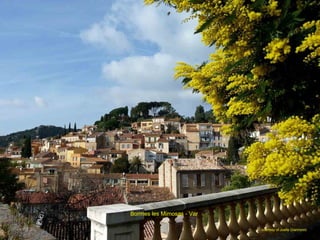 courtesy of Joelle Giannonni
Bormes les Mimosas - Var
 