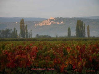 village de Lacoste - Vauclusevillage de Lacoste - Vaucluse
courtesy of Marianne
 