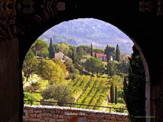 Castellet - Var
courtesy of Astronautilus
 