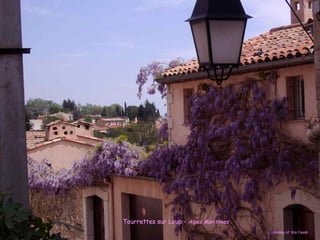 Tourrettes sur Loup - Alpes Maritimes
courtesy of Ilda Casati
 