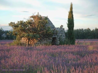 courtesy of : J.J Horem foyercuture lantoing.be
 