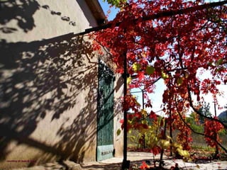 courtesy of Jean & Cococourtesy of Jean & Coco
 