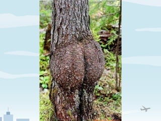 Slightly unsafe for word