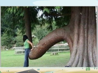 Slightly unsafe for word