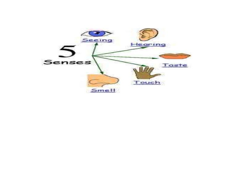 ms powerpoint examples