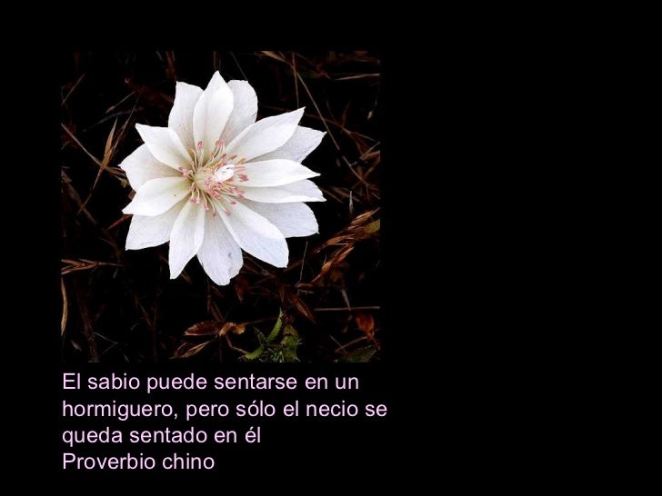 Unsaludoparamisamigos con frases de sabiduria