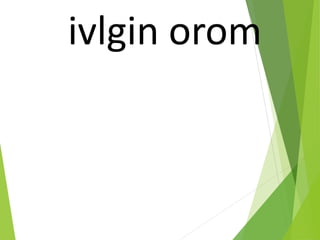 ivlgin orom
 