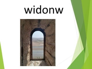 widonw
 