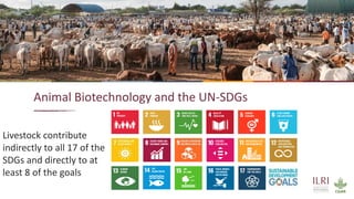 19
Animal Biotechnology and the UN-SDGs
Livestock contribute
indirectly to all 17 of the
SDGs and directly to at
least 8 of the goals
 