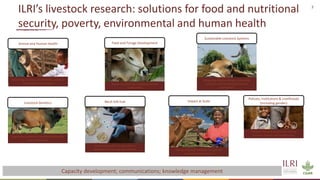 3
ILRI’s livestock research: solutions for food and nutritional
security, poverty, environmental and human health
Mitigating climate change, enhancing
resilience and increasing livestock
productivity
Sustainable Livestock Systems
Taking livestock solutions to scale for
inclusive development
Impact at Scale
Delivering solutions for livestock, zoonotic
and foodborne diseases
Animal and Human Health
Efficient livestock production driving
inclusive growth and employment
Policies, Institutions & Livelihoods
(including gender)
Improving genetics for better productivity
and profitability
Livestock Genetics
Accelerating Africa’s agricultural
development through biosciences
BecA-ILRI hub
Better nutrition for improved animal
productivity
Feed and Forage Development
Capacity development; communications; knowledge management
 