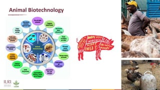 6
Animal Biotechnology
 