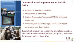How can Animal Biotechnology contribute to Agenda 2063, ST&I Strategy for Africa (STISA-2024), and the Sustainable Development Goals (UN-SDGs)