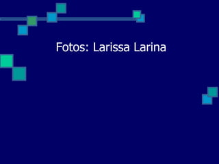 Fotos: Larissa Larina
 