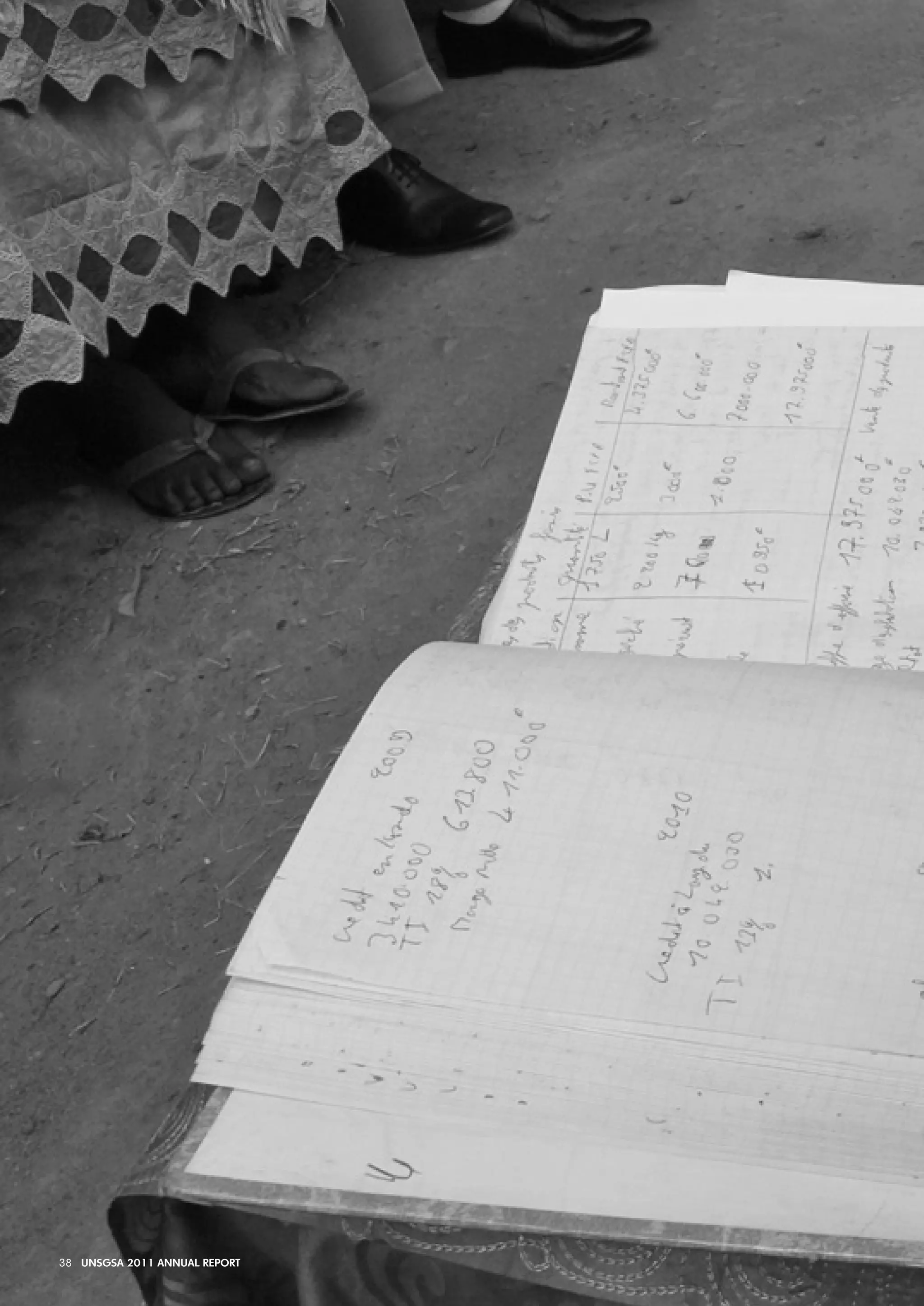 38 UNSGSA 2011 ANNUAL REPORT 
 