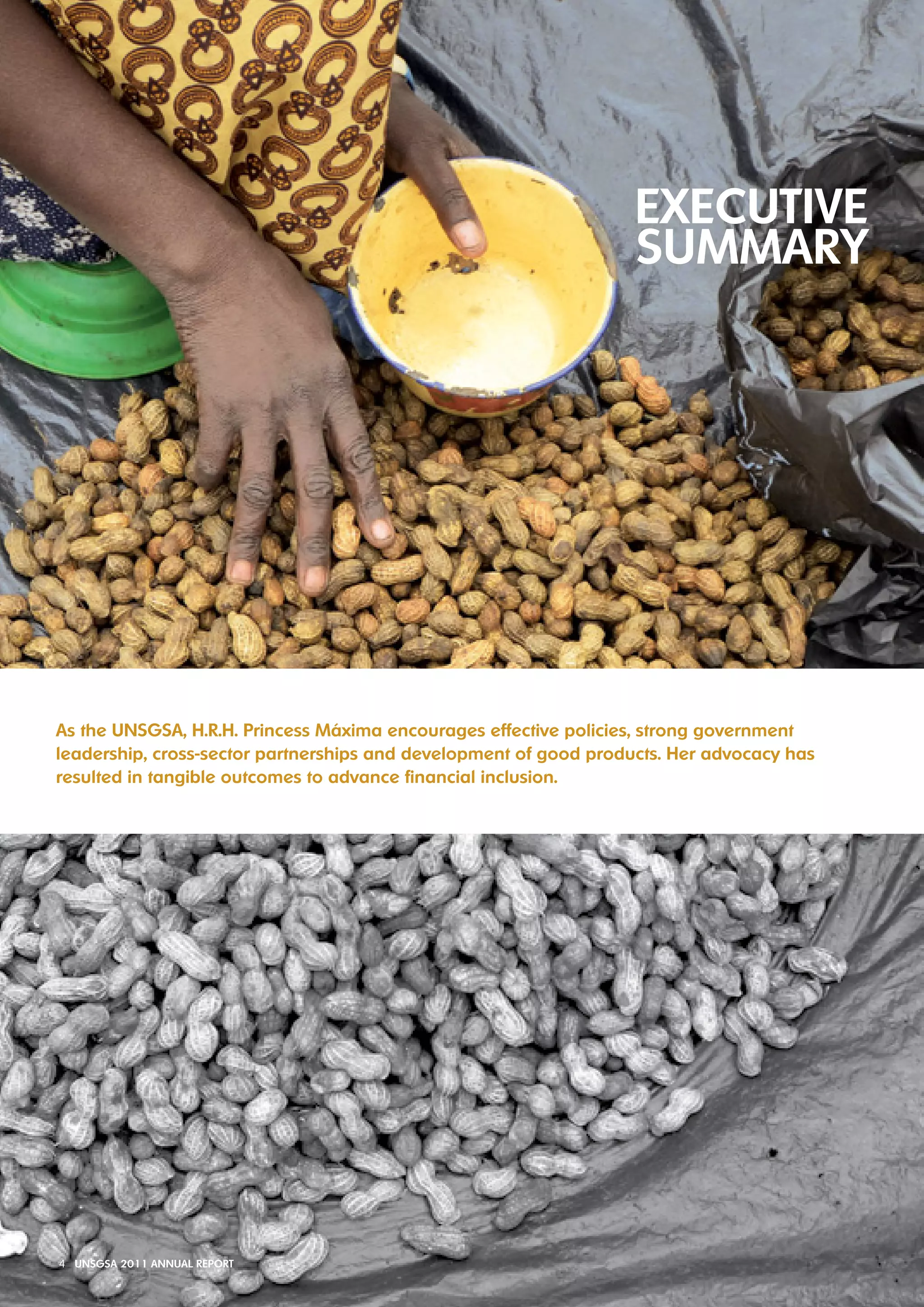 As the UNSGSA, h.R.h. Princess máxima encourages effective policies, strong government 
leadership, cross-sector partnerships and development of good products. her advocacy has 
resulted in tangible outcomes to advance financial inclusion. 
4 UNSGSA 2011 ANNUAL REPORT 
 