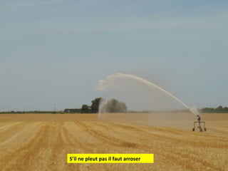 S’il ne pleut pas il faut arroser 