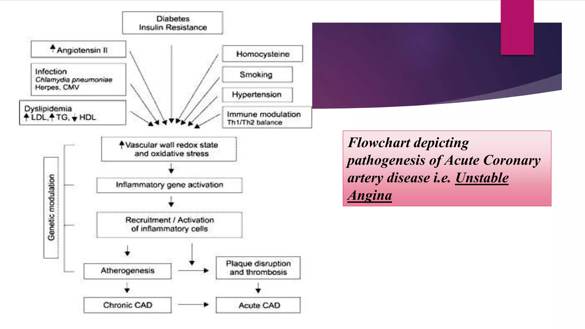 Flowchart depicting
pathogenesis of Acute Coronary
artery disease i.e. Unstable
Angina
 