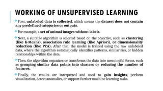 Comprehensive Guide to Unsupervised Machine Learning Techniques and ...