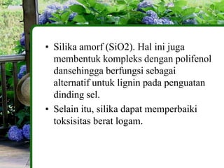 • Silika amorf (SiO2). Hal ini juga
  membentuk kompleks dengan polifenol
  dansehingga berfungsi sebagai
  alternatif untuk lignin pada penguatan
  dinding sel.
• Selain itu, silika dapat memperbaiki
  toksisitas berat logam.
 