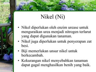 Nikel (Ni)
• Nikel diperlukan oleh enzim urease untuk
  menguraikan urea menjadi nitrogen terlarut
  yang dapat digunakan tanaman.
• Nikel juga diperlukan untuk penyerapan zat
  besi.
• Biji memerlukan unsur nikel untuk
  berkecambah.
• Kekurangan nikel menyebabkan tanaman
  dapat gagal menghasilkan benih yang baik.
 