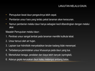 LANJUTAN MELALUI DAUN.


•   Pemupukan lewat daun pengaruhnya lebih cepat.
•   Pemberian unsur hara yang terlalu pekat tanaman akan keracunan.
•   Namun pemberian melalui daun hanya sebagian kecil dibandingkan dengan melalui
    akar.
Masalah Pemupukan melalui daun :
1. Penitrasi unsur sangat lambat pada tanaman memiliki kutikula tebal.
2. Unsur tercuci oleh air hujan.
3. Lapisan luar hidrofobik menyebabkan larutan kadang tidak menempel.
4. Terbatasnya pemindahan unsur khususnya pada daun yang tua.
5. Memerlukan tenaga, peralatan dan biaya lebih banyak (springkel).
6. Adanya gejala kerusakan daun kalau melampoi ambang batas.
 
