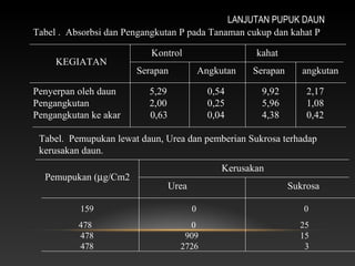 LANJUTAN PUPUK DAUN
Tabel . Absorbsi dan Pengangkutan P pada Tanaman cukup dan kahat P

                          Kontrol                       kahat
     KEGIATAN
                       Serapan              Angkutan   Serapan      angkutan

Penyerpan oleh daun       5,29                0,54       9,92        2,17
Pengangkutan              2,00                0,25       5,96        1,08
Pengangkutan ke akar      0,63                0,04       4,38        0,42

 Tabel. Pemupukan lewat daun, Urea dan pemberian Sukrosa terhadap
 kerusakan daun.
                                                 Kerusakan
  Pemupukan (µg/Cm2
                                 Urea                            Sukrosa

          159                           0                           0
          478                        0                             25
          478                       909                            15
          478                      2726                             3
 