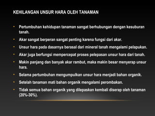 KEHILANGAN UNSUR HARA OLEH TANAMAN


•   Pertumbuhan kehidupan tanaman sangat berhubungan dengan kesuburan
    tanah.
•   Akar sangat berperan sangat penting karena fungsi dari akar.
•   Unsur hara pada dasarnya berasal dari mineral tanah mengalami pelapukan.
•   Akar juga berfungsi mempercepat proses pelepasan unsur hara dari tanah.
•   Makin panjang dan banyak akar rambut, maka makin besar menyerap unsur
    hara.
•   Selama pertumbuhan mengumpulkan unsur hara menjadi bahan organik.
•   Setelah tanaman mati bahan organik mengalami perombakan.
•   Tidak semua bahan organik yang dilepaskan kembali diserap oleh tanaman
    (20%-30%).
 