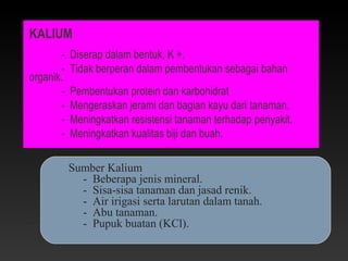 KALIUM
       -   Diserap dalam bentuk, K +.
       -   Tidak berperan dalam pembentukan sebagai bahan
organik.
       -   Pembentukan protein dan karbohidrat
       -   Mengeraskan jerami dan bagian kayu dari tanaman.
       -   Meningkatkan resistensi tanaman terhadap penyakit.
       -   Meningkatkan kualitas biji dan buah.

           Sumber Kalium
             - Beberapa jenis mineral.
             - Sisa-sisa tanaman dan jasad renik.
             - Air irigasi serta larutan dalam tanah.
             - Abu tanaman.
             - Pupuk buatan (KCl).
 