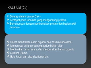 KALSIUM (Ca)

 Diserap dalam bentuk Ca++.
 Terdapat pada tanaman yang mengandung protein.
 Berhubungan dengan pembentukan protein dan bagian aktif
  tanaman.



 Dapat menitralkan asam organik dari hasil metabolisme.
 Mempunyai peranan penting pertumbuhan akar.
 Menitralkan tanah asam, dan menguraikan bahan organik.
 Sumber Utama.
 Batu kapur dan sisa-sisa tanaman.
 