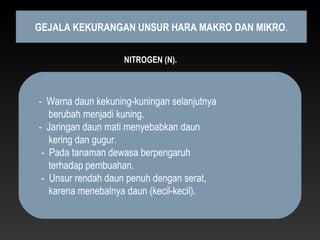 GEJALA KEKURANGAN UNSUR HARA MAKRO DAN MIKRO.

                    NITROGEN (N).



- Warna daun kekuning-kuningan selanjutnya
   berubah menjadi kuning.
- Jaringan daun mati menyebabkan daun
   kering dan gugur.
 - Pada tanaman dewasa berpengaruh
   terhadap pembuahan.
 - Unsur rendah daun penuh dengan serat,
   karena menebalnya daun (kecil-kecil).
 