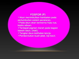 FOSFOR (P)
Akan menimbulkan hambatan pada
pertumbuhan sistem perakaran.
Pada daun akan berwarna hijau tua,
keabu-abuan.
Terdapat pigmen merah pada bagian
bawah daun, (mati).
Tangkai daun kelihatan lancip.
Pembentukan buah jelek, biji kecil.
 