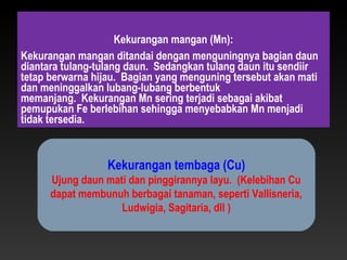 Kekurangan mangan (Mn):
Kekurangan mangan ditandai dengan menguningnya bagian daun
diantara tulang-tulang daun. Sedangkan tulang daun itu sendiir
tetap berwarna hijau. Bagian yang menguning tersebut akan mati
dan meninggalkan lubang-lubang berbentuk
memanjang. Kekurangan Mn sering terjadi sebagai akibat
pemupukan Fe berlebihan sehingga menyebabkan Mn menjadi
tidak tersedia.



                  Kekurangan tembaga (Cu)
      Ujung daun mati dan pinggirannya layu. (Kelebihan Cu
      dapat membunuh berbagai tanaman, seperti Vallisneria,
                    Ludwigia, Sagitaria, dll )
 
