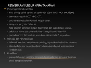PENYERAPAN UNSUR HARA TANAMAN
 Penyerapan Hara Lewat Akar
  - Hara diserap dalam bentuk ion bermuatan positif (NH4+, K+, Ca++, Mg++)
   - bermuatan negatif (NO3¯, HPO4¯, Cl¯).
   - umumnya terikat dalam komplek jerapan tanah.
   - sering ada yang larut dalam air.
   - hara tanaman berpindah tempat dalam tanah dari suatu tempat ke akar.
   - dekat akar masuk dan ditranslokasikan kebagian daun, buah dsb.
   - perpindahan ion dari tanah ke permukaan akar memiliki 3 pergerakan :
1. Intersepsi dan Persinggungan.
   - terbentuk akar baru menyebabkan persinggungan akar dan ion hara tanaman.
   - akar dan bulu akar menembus tanah bila ion dalam bentuk tersedia masuk
      kedalam akar.
2. Aliran Masa
   - ion dan bahan lain yang larut berpindah bersama larutan air keakar tanaman
     akibat transpirasi tanaman.
 