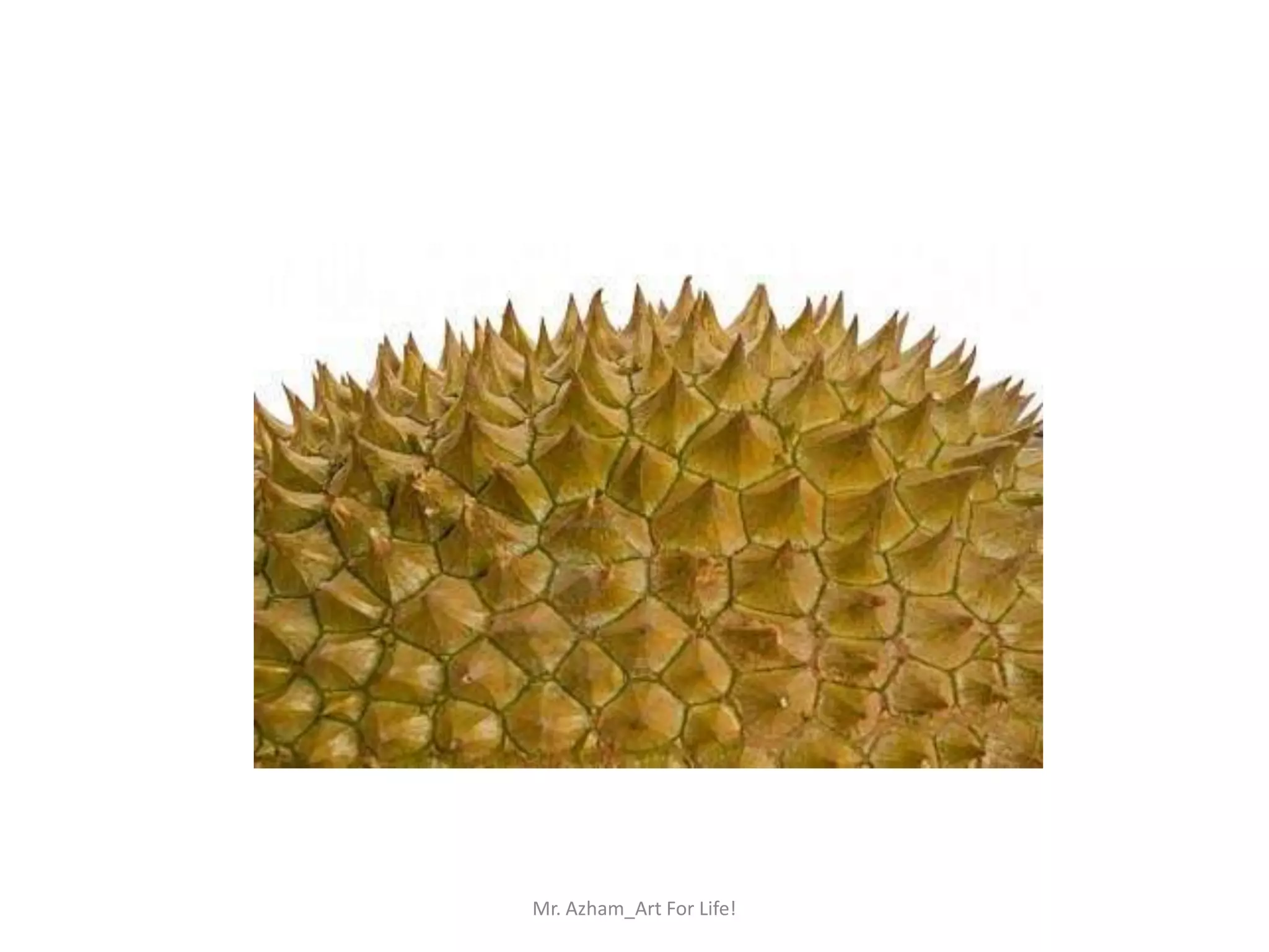 Mr. Azham_Art For Life!
 