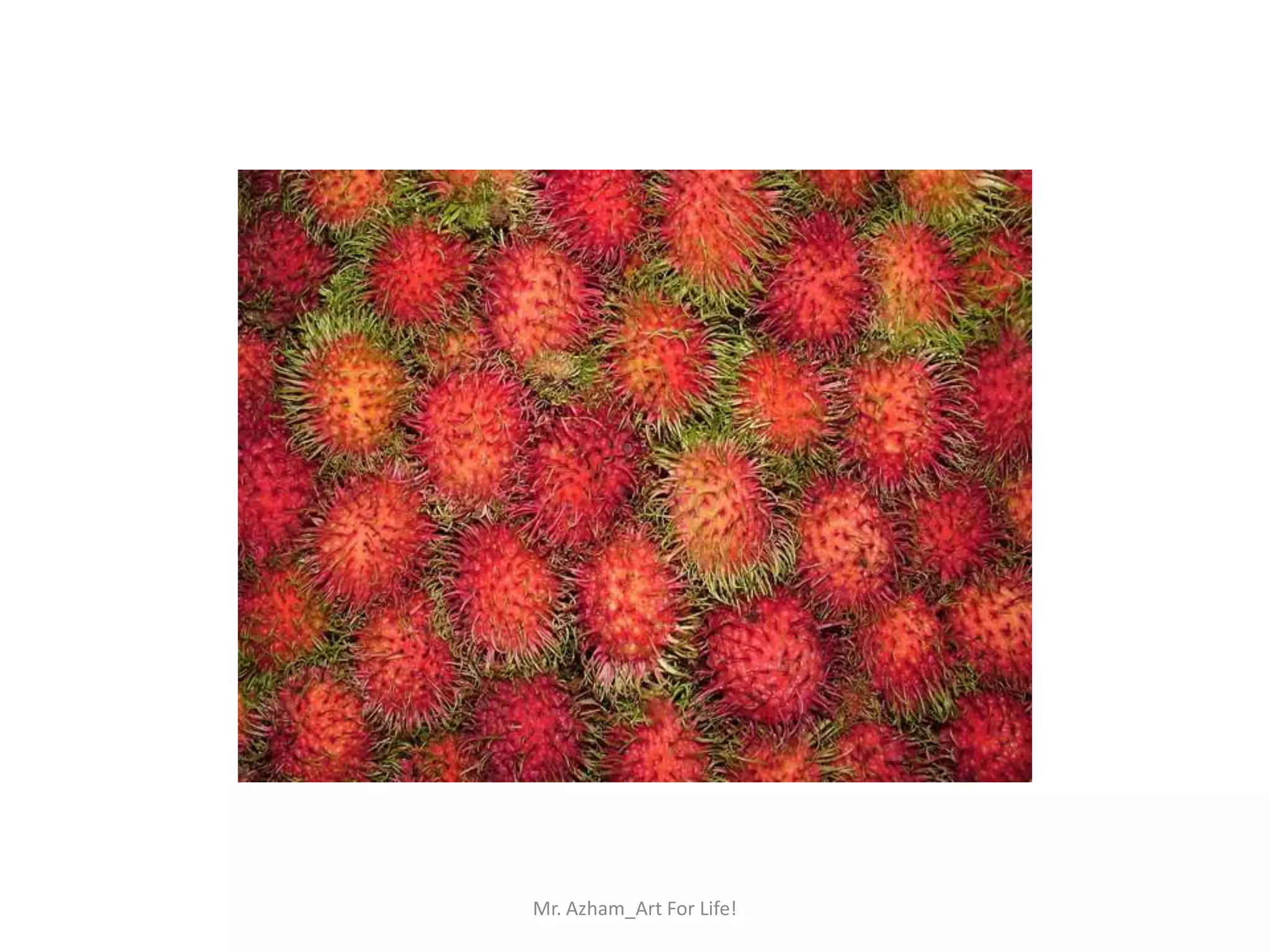 Mr. Azham_Art For Life!
 