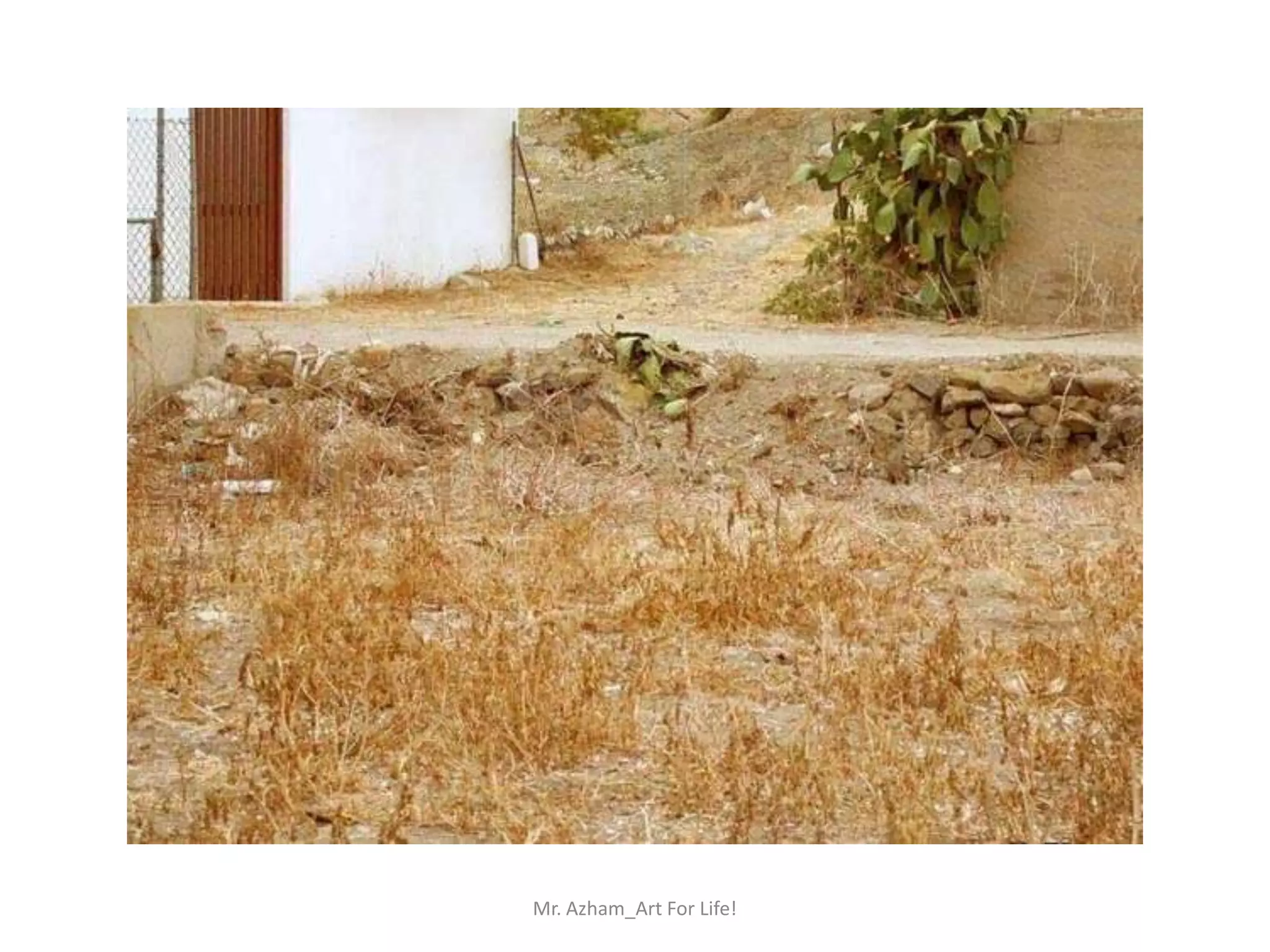 Mr. Azham_Art For Life!
 