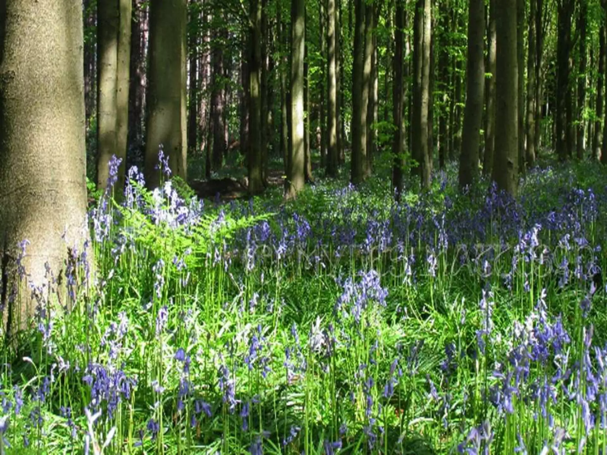 2015 Utzon Lecture Series: 'Sedimentary City' by Emeritus Professor Brit Andresen