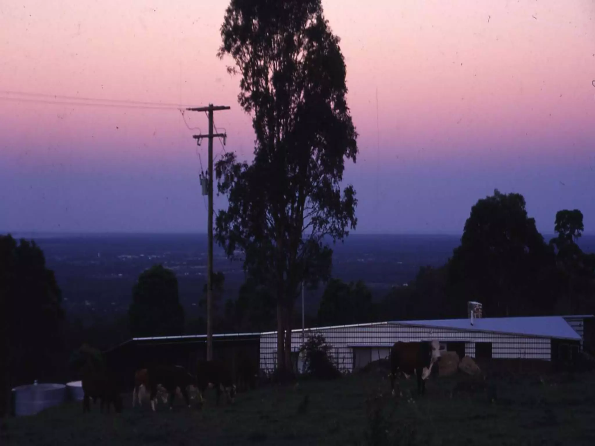 2015 Utzon Lecture Series: 'Sedimentary City' by Emeritus Professor Brit Andresen