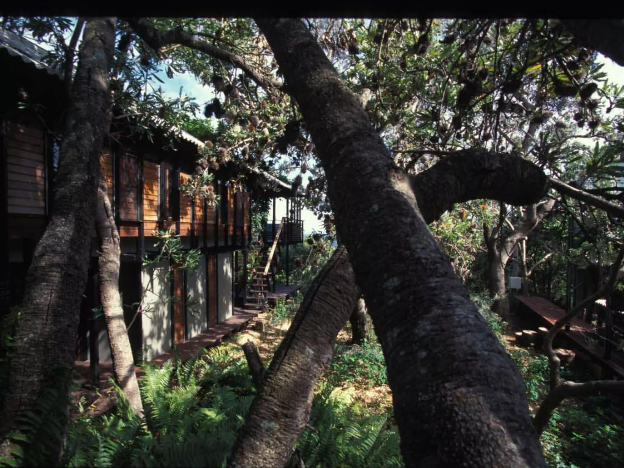 2015 Utzon Lecture Series: 'Sedimentary City' by Emeritus Professor Brit Andresen