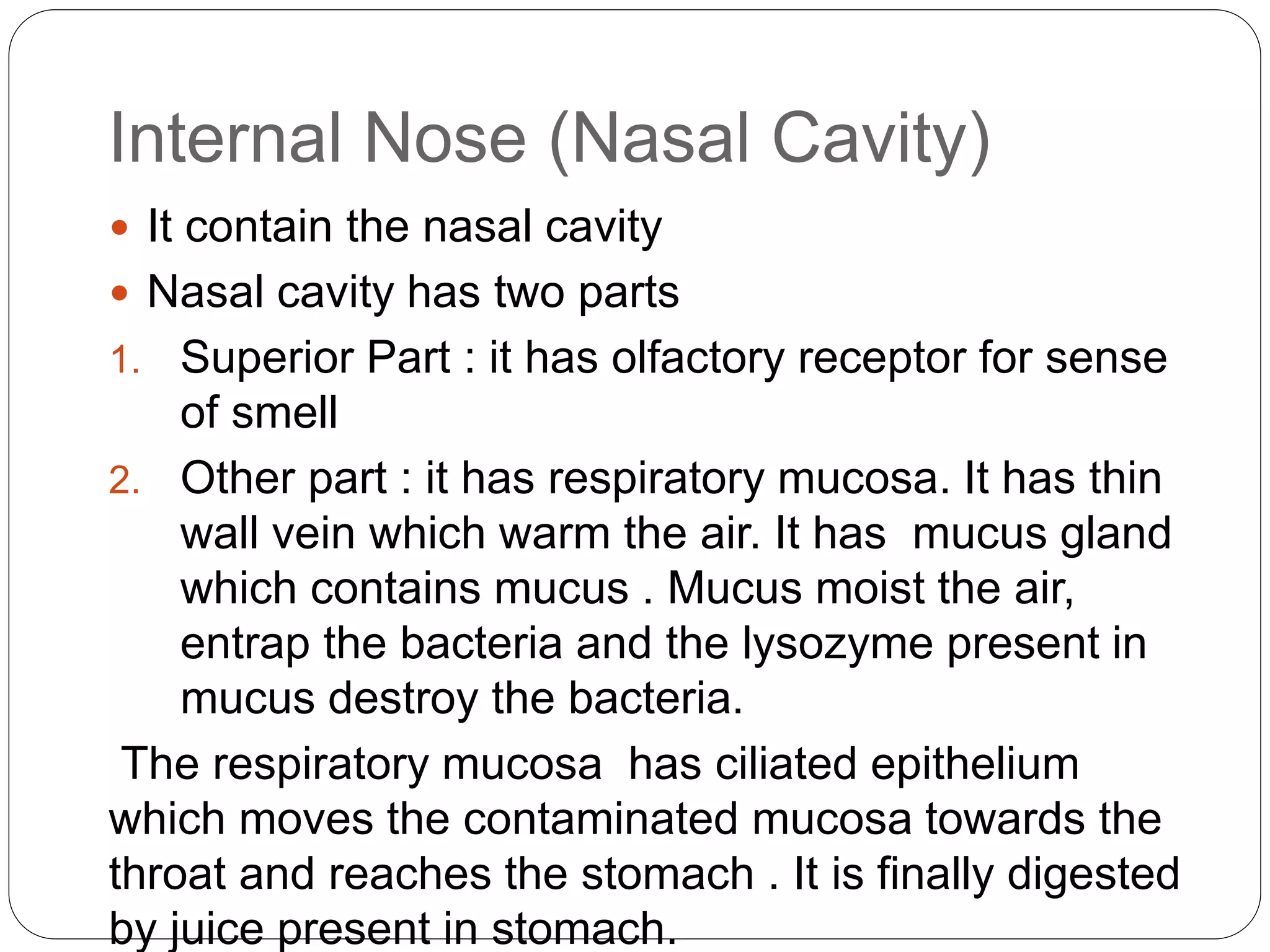 Internal Nose (Nasal Cavity)
 It contain the nasal cavity
 Nasal cavity has two parts
1. Superior Part : it has olfactory receptor for sense
of smell
2. Other part : it has respiratory mucosa. It has thin
wall vein which warm the air. It has mucus gland
which contains mucus . Mucus moist the air,
entrap the bacteria and the lysozyme present in
mucus destroy the bacteria.
The respiratory mucosa has ciliated epithelium
which moves the contaminated mucosa towards the
throat and reaches the stomach . It is finally digested
by juice present in stomach.
 