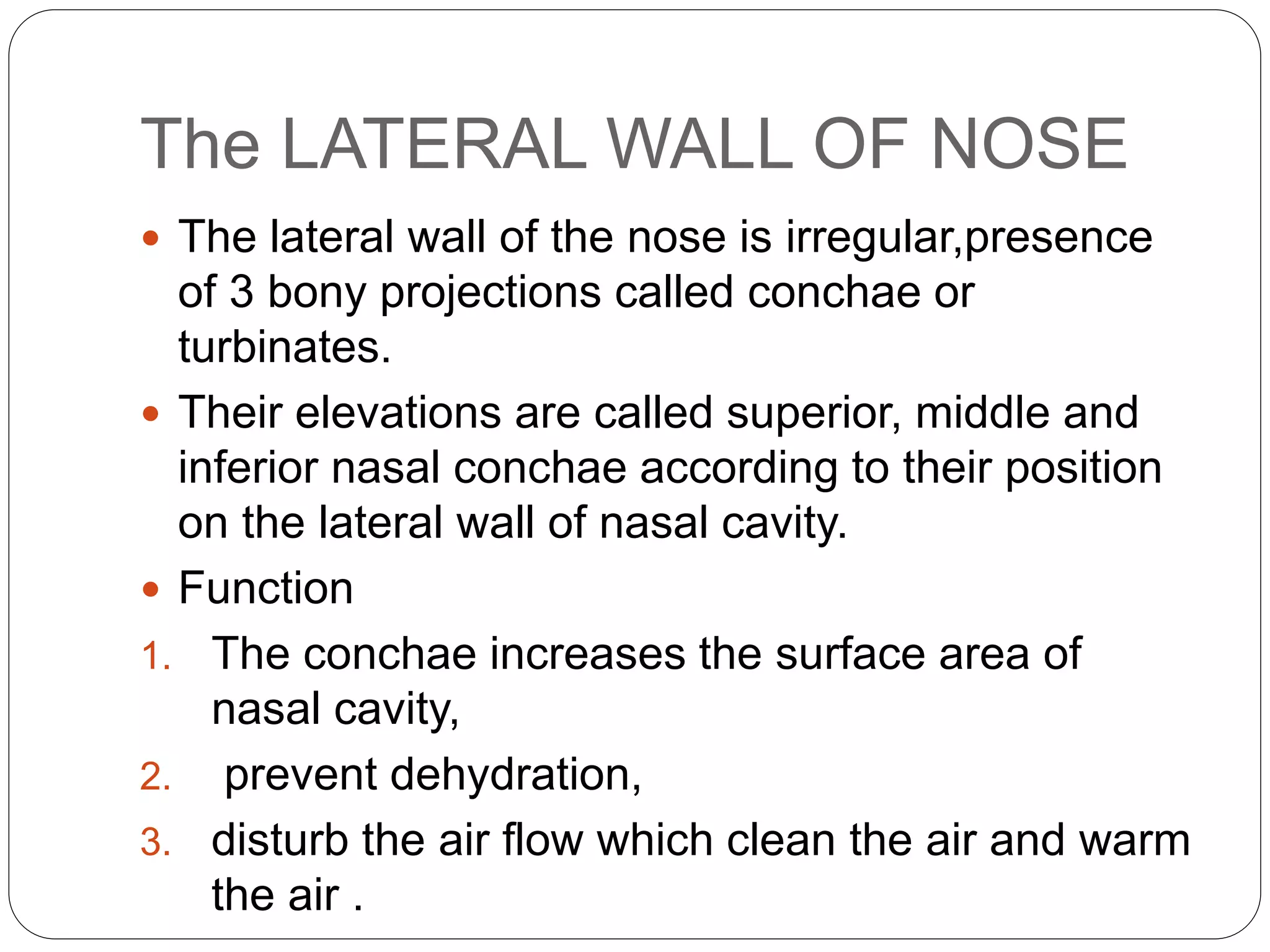 The LATERAL WALL OF NOSE
 The lateral wall of the nose is irregular,presence
of 3 bony projections called conchae or
turbinates.
 Their elevations are called superior, middle and
inferior nasal conchae according to their position
on the lateral wall of nasal cavity.
 Function
1. The conchae increases the surface area of
nasal cavity,
2. prevent dehydration,
3. disturb the air flow which clean the air and warm
the air .
 
