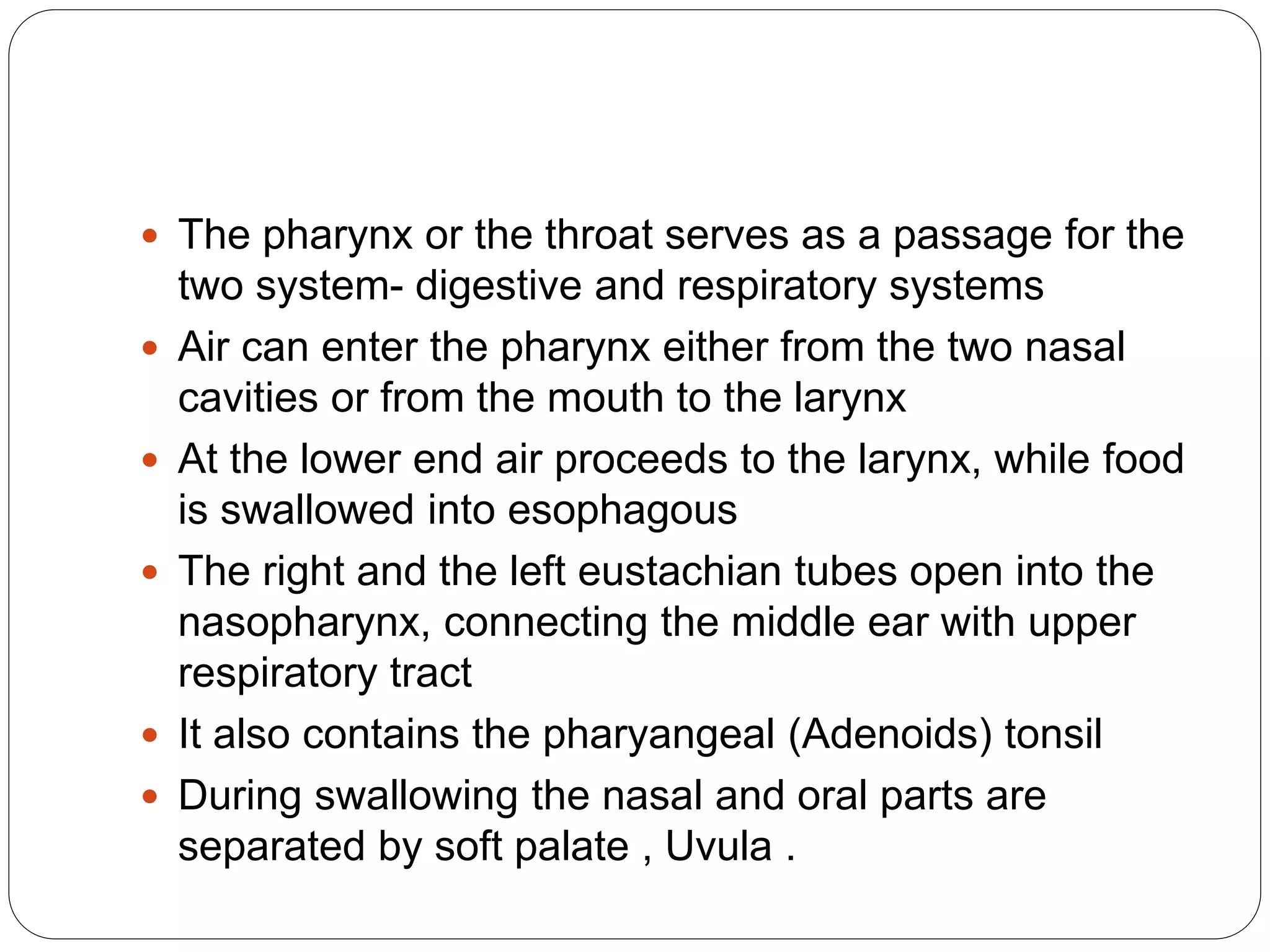  The pharynx or the throat serves as a passage for the
two system- digestive and respiratory systems
 Air can enter the pharynx either from the two nasal
cavities or from the mouth to the larynx
 At the lower end air proceeds to the larynx, while food
is swallowed into esophagous
 The right and the left eustachian tubes open into the
nasopharynx, connecting the middle ear with upper
respiratory tract
 It also contains the pharyangeal (Adenoids) tonsil
 During swallowing the nasal and oral parts are
separated by soft palate , Uvula .
 